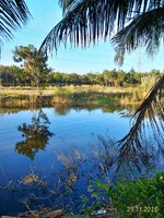 P_20151129_072137_1_HDR_p.jpg