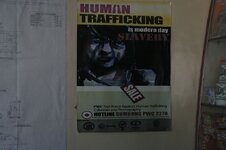 _mg_7071.jpg _mg_7071.jpg