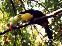 Unbenannt-042.jpg Unbenannt-042.jpg