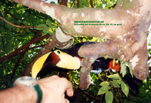 Unbenannt-043.jpg Unbenannt-043.jpg