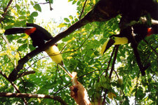 Unbenannt-044.JPG Unbenannt-044.JPG