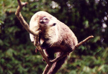 Unbenannt-054.JPG Unbenannt-054.JPG