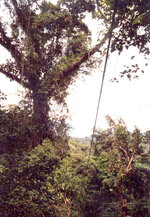 Unbenannt-060.JPG Unbenannt-060.JPG