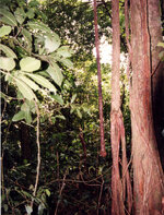 Unbenannt-061.JPG Unbenannt-061.JPG