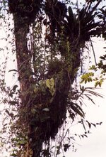 Unbenannt-064.JPG Unbenannt-064.JPG