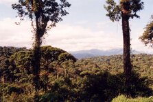 Unbenannt-065.JPG Unbenannt-065.JPG