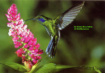 Unbenannt-062.jpg Unbenannt-062.jpg