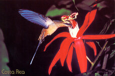 Unbenannt-063.JPG Unbenannt-063.JPG