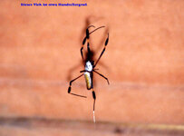 Unbenannt-068.jpg Unbenannt-068.jpg