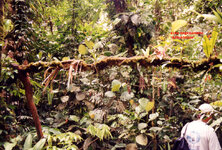 Unbenannt-070.jpg Unbenannt-070.jpg