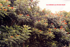 Unbenannt-074.jpg Unbenannt-074.jpg