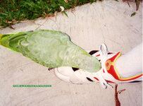 Unbenannt-077.jpg Unbenannt-077.jpg