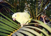 Unbenannt-078.JPG Unbenannt-078.JPG