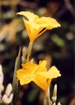 Unbenannt-079.JPG Unbenannt-079.JPG