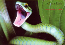 Unbenannt-080.jpg Unbenannt-080.jpg