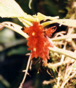 Unbenannt-083.JPG Unbenannt-083.JPG