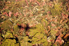 Unbenannt-090.JPG Unbenannt-090.JPG