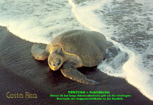 Unbenannt-094.jpg Unbenannt-094.jpg