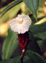 Unbenannt-095.JPG Unbenannt-095.JPG