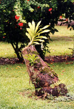 Unbenannt-098.JPG Unbenannt-098.JPG