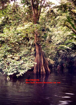 Unbenannt-102.jpg Unbenannt-102.jpg