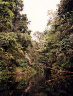 Unbenannt-103.jpg Unbenannt-103.jpg