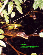 Unbenannt-104.jpg Unbenannt-104.jpg