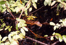 Unbenannt-105.jpg Unbenannt-105.jpg