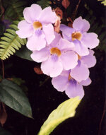 Unbenannt-106.jpg Unbenannt-106.jpg