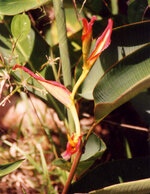 Unbenannt-108.jpg Unbenannt-108.jpg