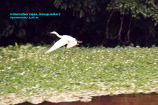 Unbenannt-109.jpg Unbenannt-109.jpg