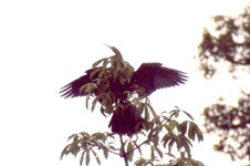 Unbenannt-111.jpg Unbenannt-111.jpg