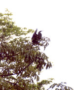 Unbenannt-112.jpg Unbenannt-112.jpg