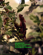 Unbenannt-115.jpg Unbenannt-115.jpg