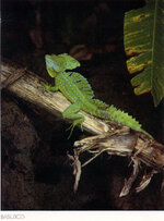 Unbenannt-116.jpg Unbenannt-116.jpg