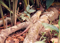 Unbenannt-117.jpg Unbenannt-117.jpg