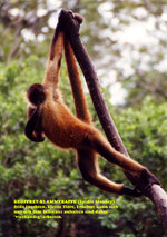 Unbenannt-118.jpg Unbenannt-118.jpg