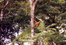 Unbenannt-119.jpg Unbenannt-119.jpg