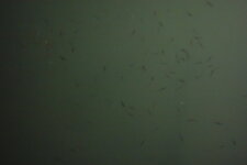 DSC05418.JPG DSC05418.JPG