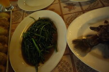 DSC05416.JPG DSC05416.JPG