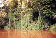 Unbenannt-120.jpg Unbenannt-120.jpg