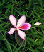 Unbenannt-122.jpg Unbenannt-122.jpg