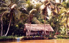 Unbenannt-126.jpg Unbenannt-126.jpg