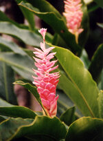 Unbenannt-127.jpg Unbenannt-127.jpg