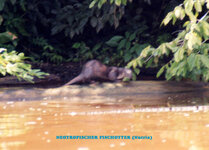 Unbenannt-128.jpg Unbenannt-128.jpg