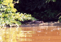 Unbenannt-129.jpg Unbenannt-129.jpg