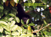 Unbenannt-130.jpg Unbenannt-130.jpg