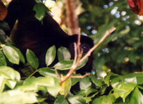 Unbenannt-131.jpg Unbenannt-131.jpg