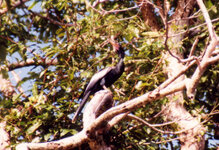 Unbenannt-132.jpg Unbenannt-132.jpg