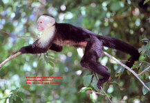 Unbenannt-137.jpg Unbenannt-137.jpg